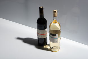 零酒精也能暢飲？探尋即飲型無酒精飲料的新風潮